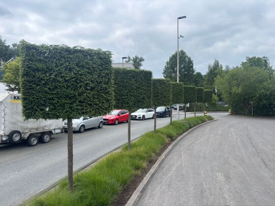 Josef Pötter GmbH – Einblick 8